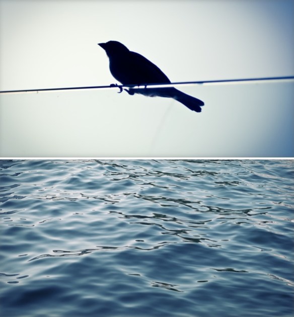 PhotosfromTravels3-4