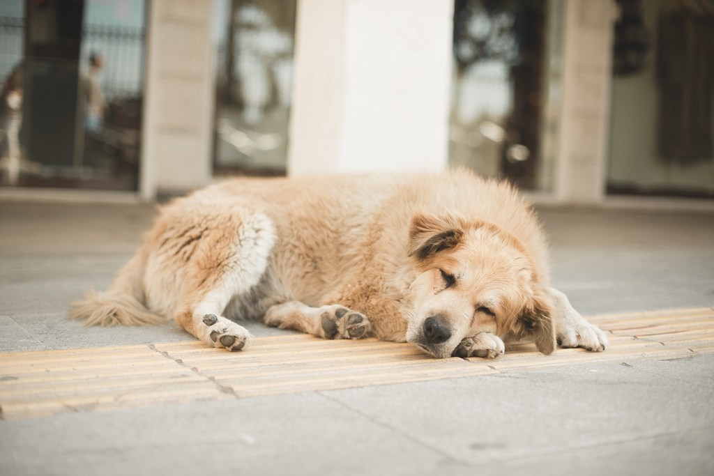 Athens – Day&nbsp;Three