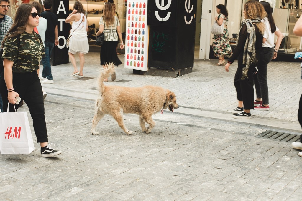 Athens – Day&nbsp;Two